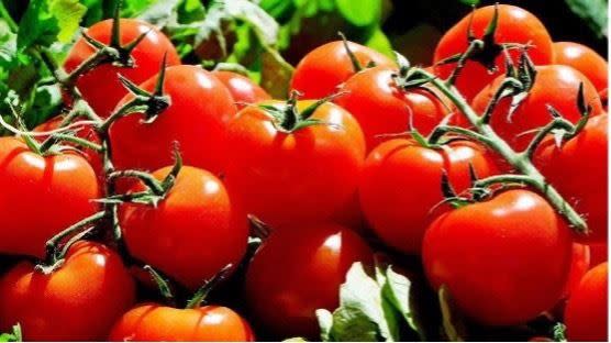 番茄是穀雨期間的養生好食物之一。（圖／翻攝自pixabay）