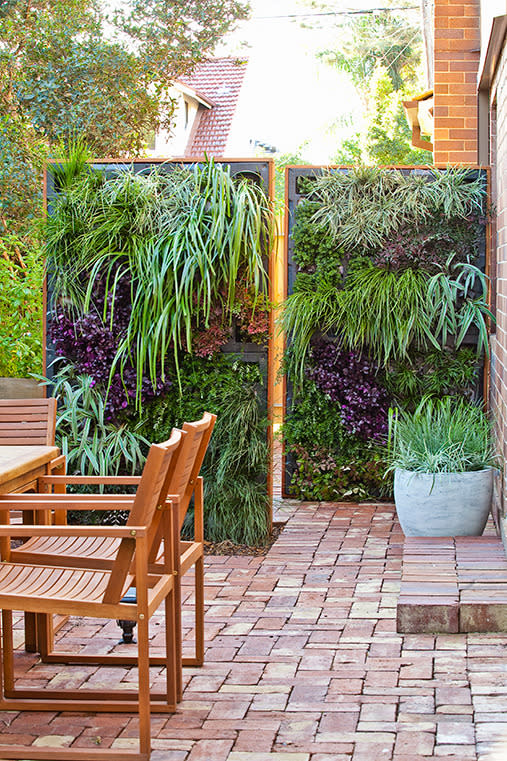 Instead of the usual lattice, put in a vertical garden that doubles as a privacy screen. <br><br>Click here for <a rel="nofollow" href="https://au.lifestyle.yahoo.com/better-homes-gardens/gardening/h/24886457/how-to-make-a-living-privacy-screen/" data-ylk="slk:how to make a living privacy screen;elm:context_link;itc:0;sec:content-canvas" class="link ">how to make a living privacy screen</a>