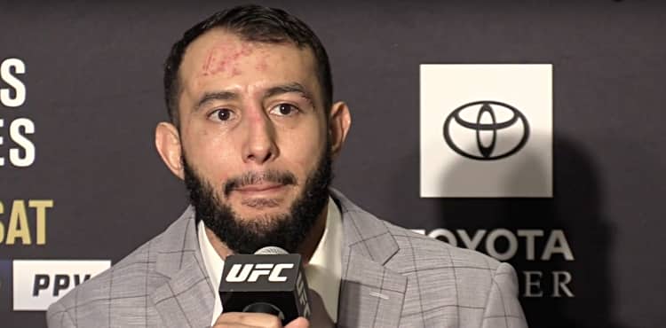 Dominick Reyes UFC 247 post-fight