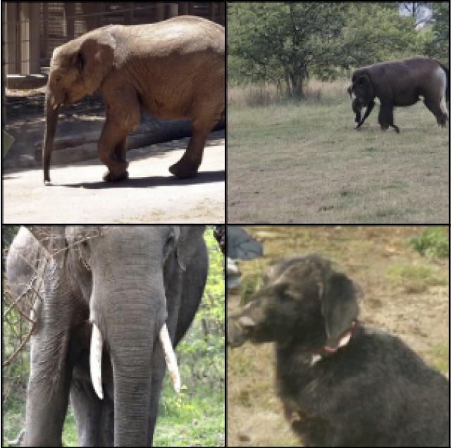 Photo of an elephant (top left) and photo of an elephant (bottom left), alongside photos generated by AI from human brain waves.