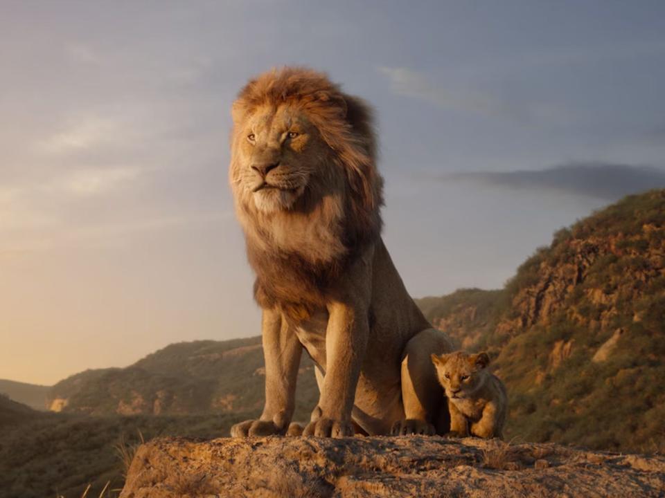 a still from the 2019 live-action adaptation of the lion king