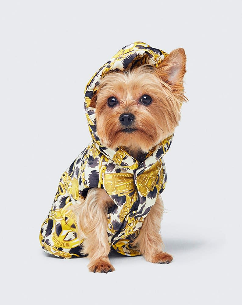 The Moschino and H&M launch will include a Disney collection for humans, in addition to clothes for fashionable pets.