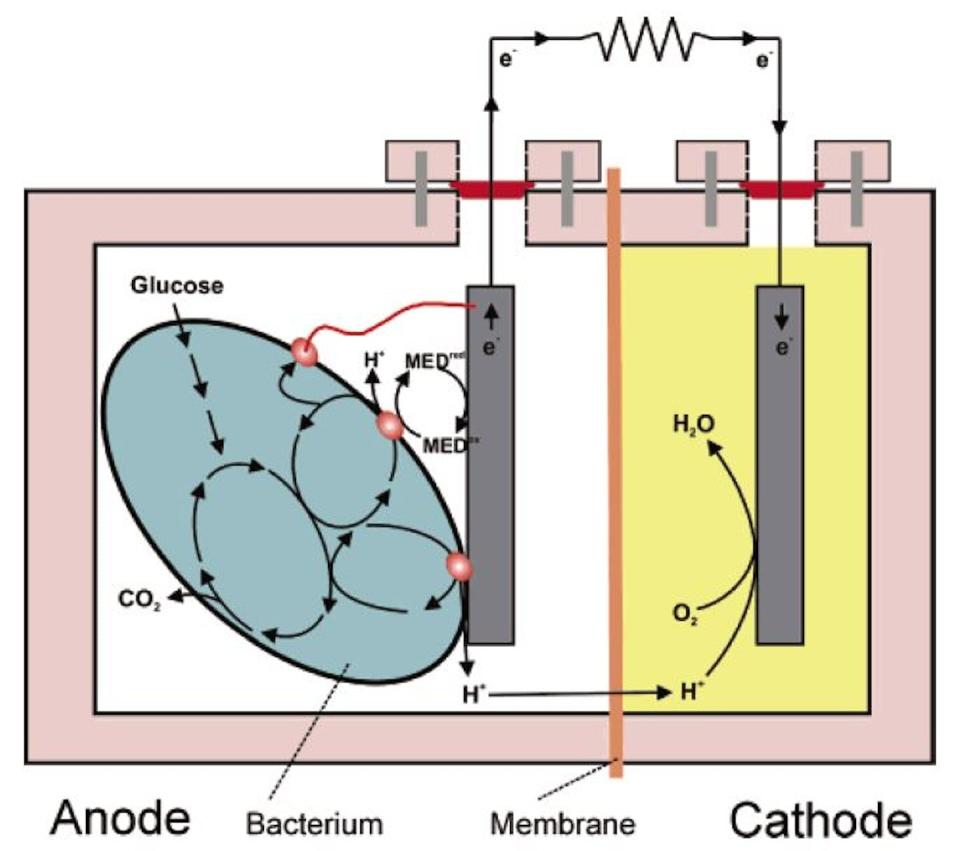 Principios generales de las celdas de combustible microbianas. Publicación del profesor Bruce Ernest Logan et al. de la Universidad Estatal de Pensilvania en 2006.