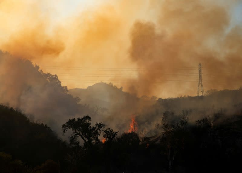 FILE PHOTO: The Bond Fire wildfire continues to burn next to electrical power lines near Modjeska Canyon, California