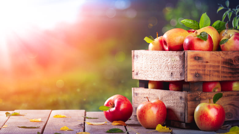 Crate of apples outside