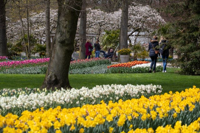 Far fewer visitors than normal are seen at the world-famous Keukenhof garden in Lisse, Netherlands 