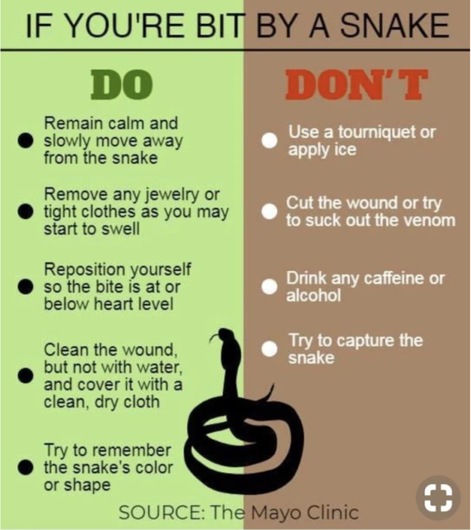dos and don'ts