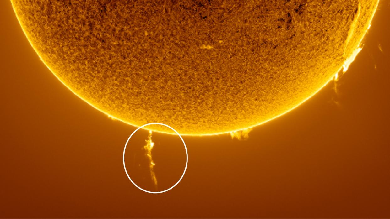  A large plume of plasma stick out from the sun's south pole . 