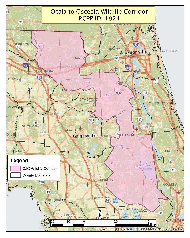 Counties and land that fall within the O2O Wildlife Corridor that might be eligible for the conservation easement program.