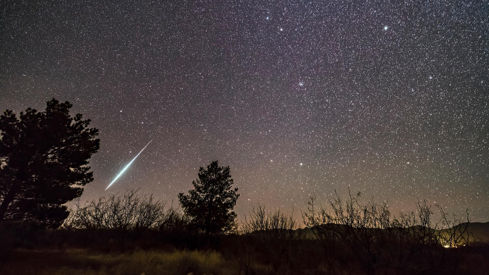 A single bright meteor from the Geminid meteor shower of December 2017, dropping toward the horizon in Ursa Major. Gemini itself and the radiant of the shower is at top centre. Leo is just rising at bottom centre. Procyon is at upper right.