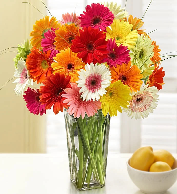 Happy Gerbera Daisies. Image via 1-800-Flowers.