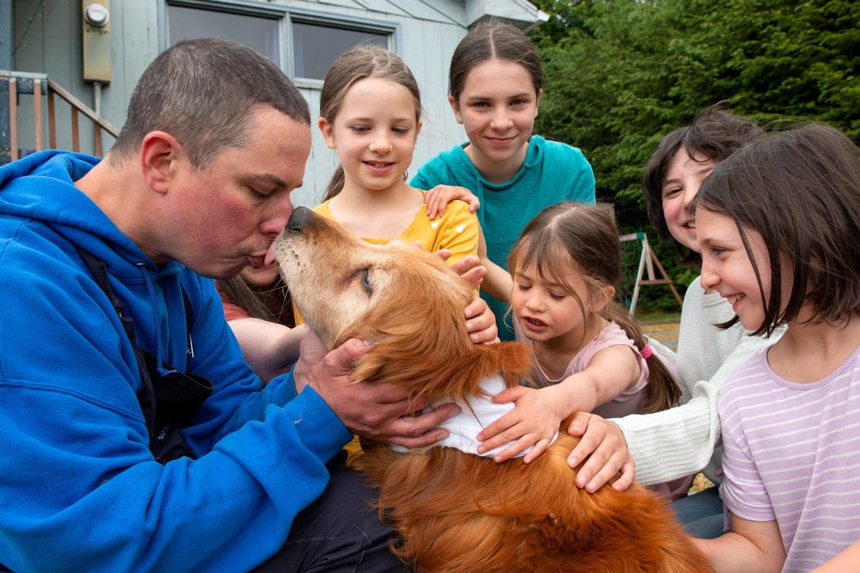 Alaska Dog Returns Home