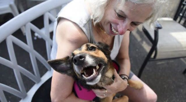 Relay was brought home to his family almost two years after he escaped under a backyard fence before he was found on the other side of the country. Picture: AP