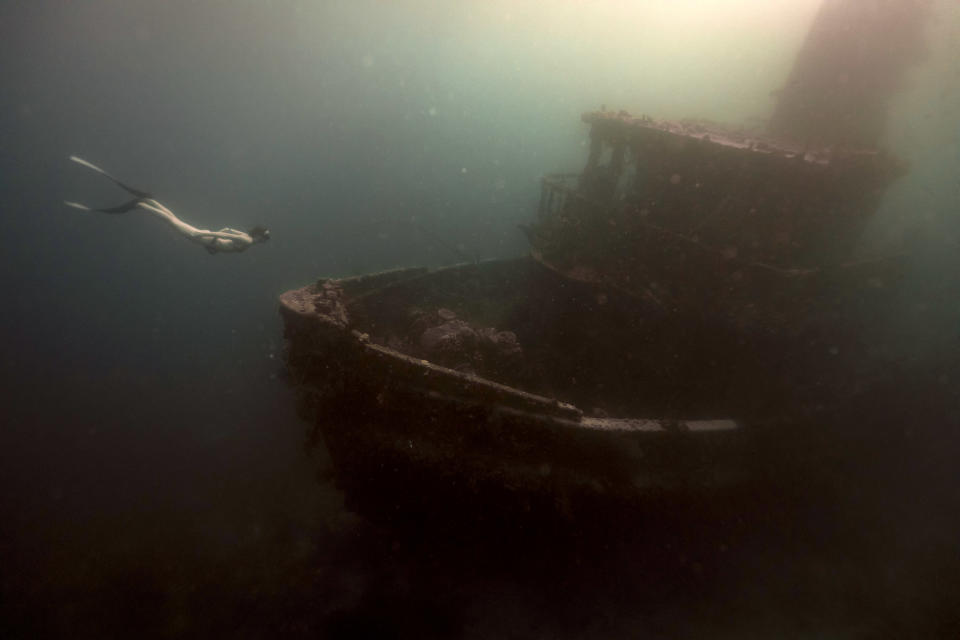 Beautiful Caribbean dive