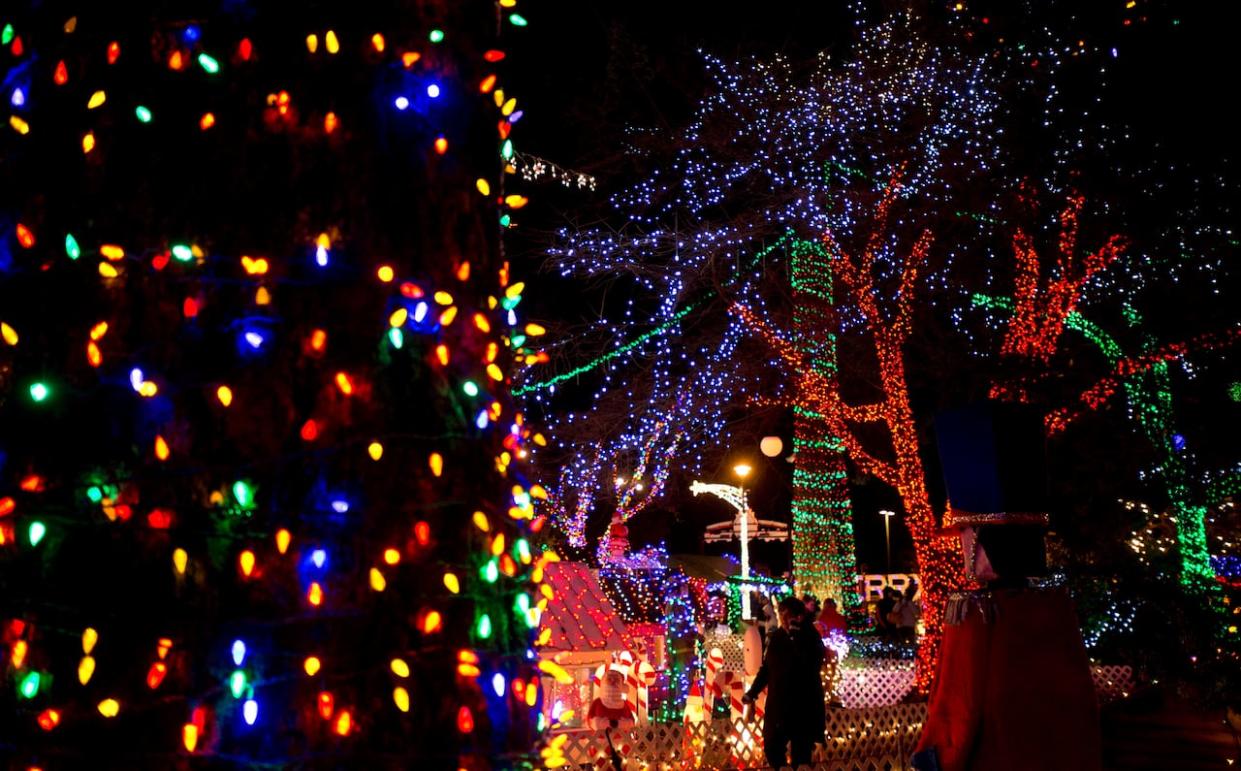 People are seen taking in the sights at Bright Nights in Stanley Park on Dec. 18, 2012. The event is a fundraiser for the B.C. Professional Fire Fighters' Burn Fund. (Jonathan Hayward/The Canadian Press - image credit)