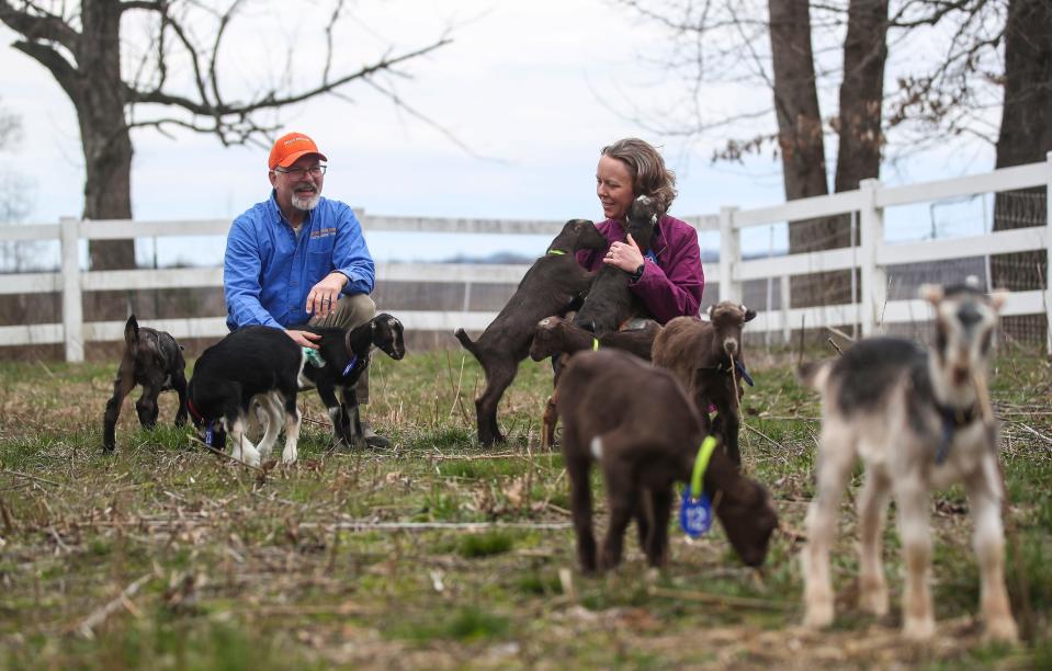 David Taylor and his wife Beth Boesche-Taylor with some of their kids -- baby goats -- at their Sirocco Ridge Farm in Henryville, Ind. The couple started making goat cheese in the past few years and operate the farm using a sustainable and environment-friendly model. March 16, 2023.