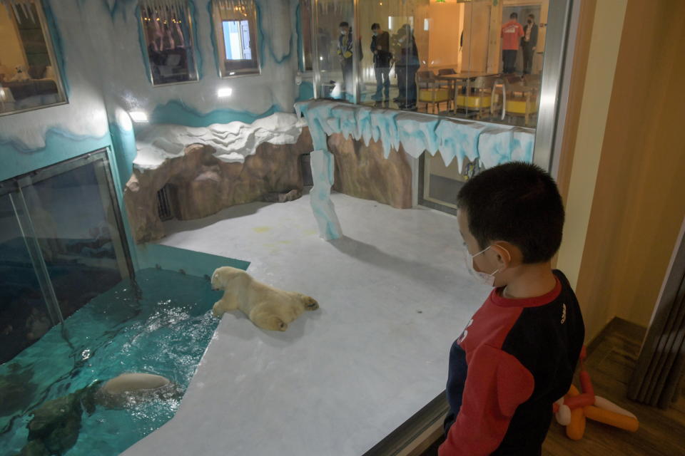 Il Polar Bear Hotel in Cina