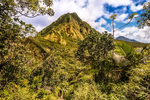 Dominica suits active breaks - Credit: GETTY