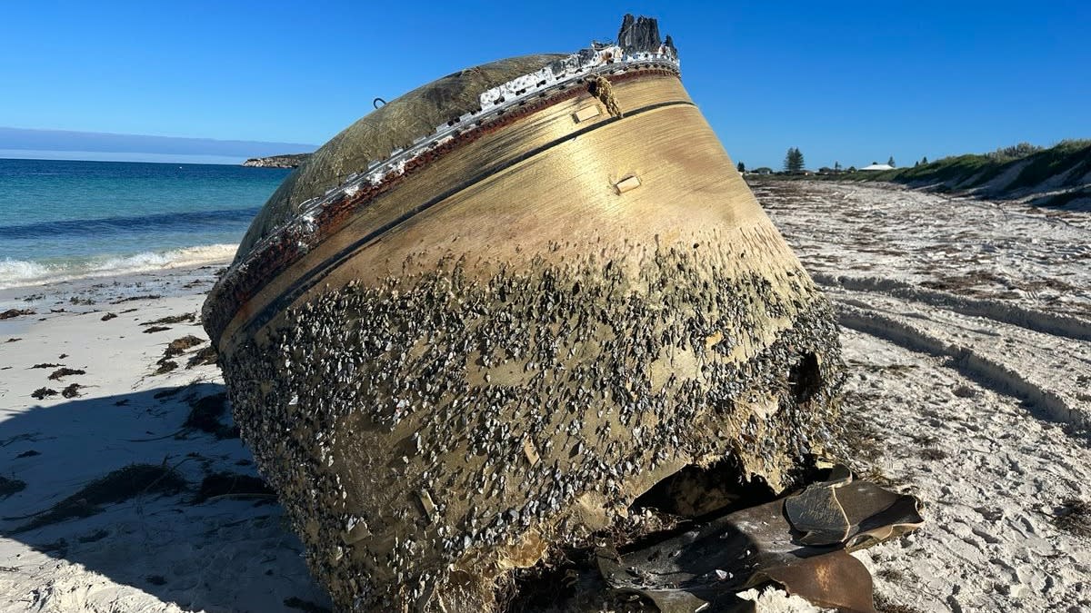  a cylindrical-shaped piece of debris covered in mud and barnacles on a beach. the ocean is visible in behind 