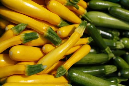 Yellow and green zucchini are seen on sale at Chino Farm in Rancho Santa Fe, California May 15, 2012. REUTERS/Mike Blake