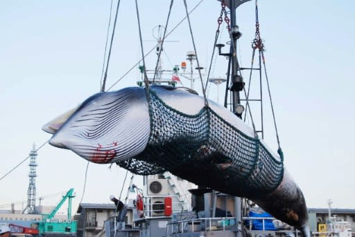 Japan last December announced it would no longer comply with a decades-old ban on commercial whaling