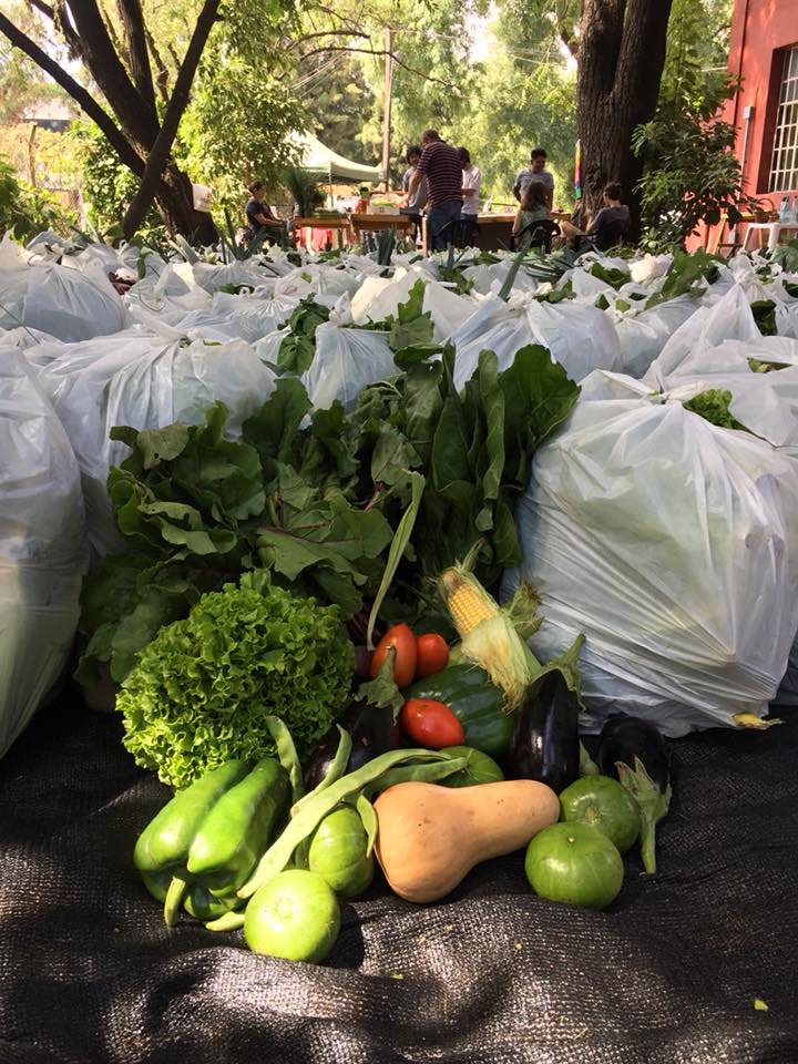 <p>Venta de verduras frescas en ferias barriales de Buenos Aires. (Catalina Oquendo) </p>