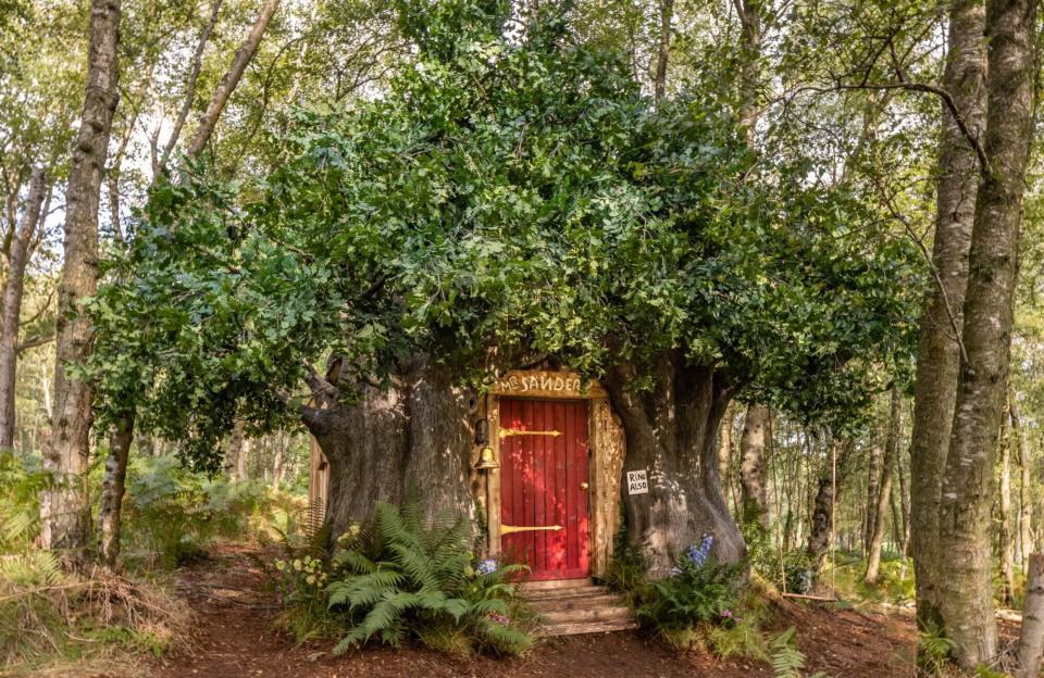 Winnie the Pooh Airbnb