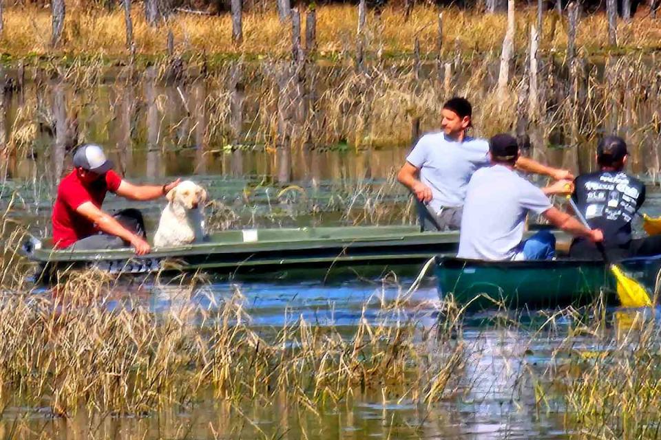 <p>Leslie Acosta</p> Florida family with Dax the missing dog, who they rescued from a lake