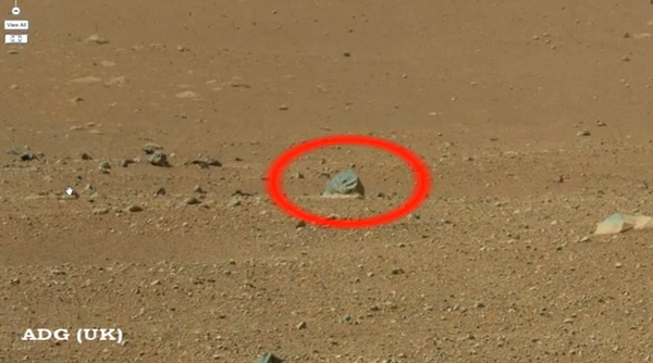 "Mars animal" spotted by one YouTube user.