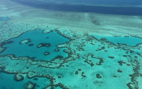The Great Barrier Reef off the coast of the Whitsunday Islands, along the central coast of Queensland - Credit: AFP/ SARAH LAI