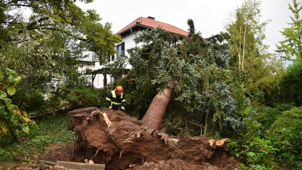 Ein Feuerwehrmann zersägt in Eppelheim einen Baum, der durch einen Sturm auf ein Haus gestürzt ist.