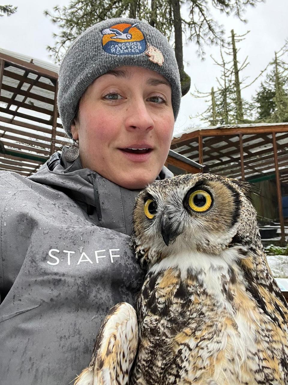 Cascades Raptor Center bird trainer Carrie Lorenz holds Lorax, a Great Horned Owl, whose aviary was destroyed.