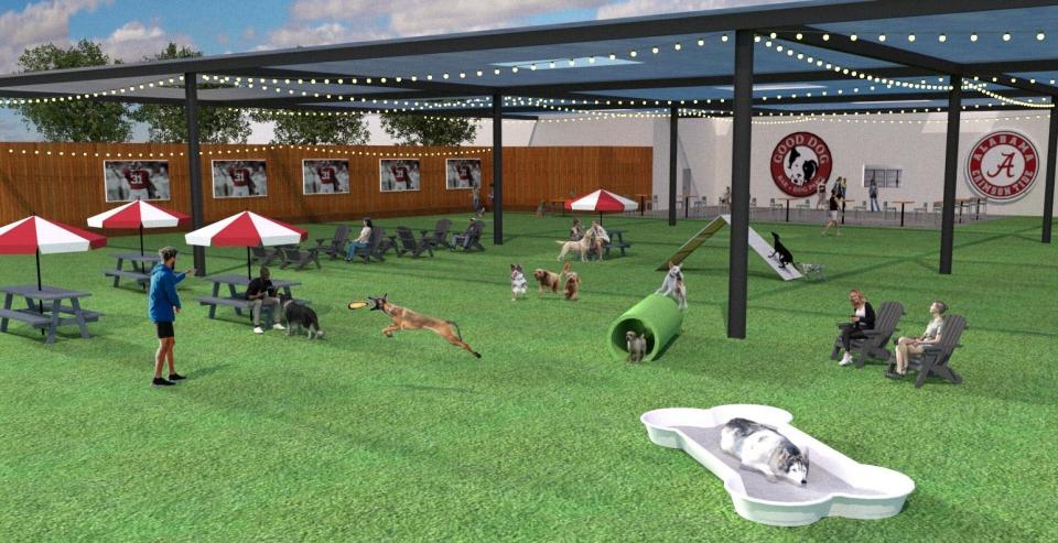 Good Dog Bar and Dog Park in Tuscaloosa will feature turfed indoor and outdoor play areas for dogs.