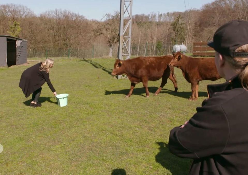 Ehefrau Tanja füttert die Kälber Holly und Molly. Joey Kelly beobachtet 