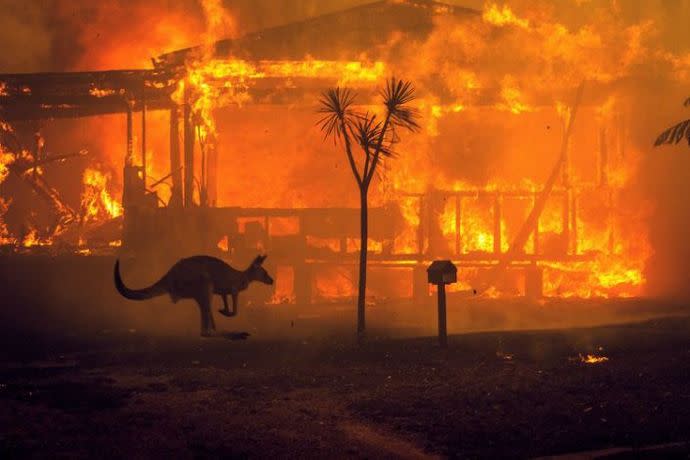 澳洲從去年末到今年初的經歷的野火季，對當地生態衝擊甚鉅。（photo by Bruce Detorres via Flickr, used under CC license）