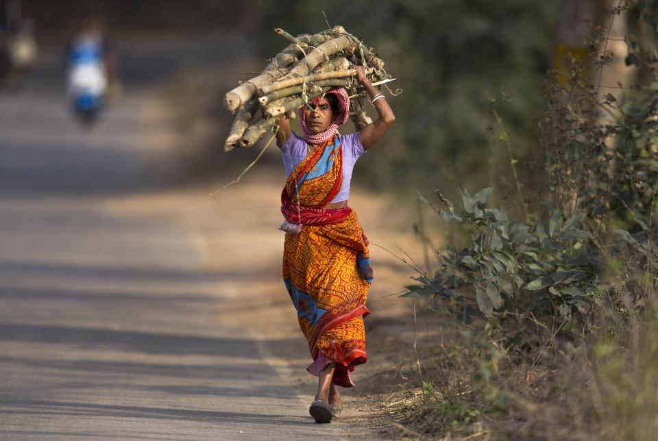 An Indian woman carries firewood and returns home after a day's work in a paddy field on the outskirts of Gauhati, India, Friday, Feb. 1, 2019. Indian Prime Minister Narendra Modi's government on Friday announced cash handouts for small farmers, a pension scheme for informal workers and a doubling of tax relief for the lower middle class in an interim budget designed to shore up its popularity ahead of national elections due before May. Finance Minister Piyush Goyal  said farmers would be paid 6,000 rupees ($85) annually, benefiting as many as 120 million households. (AP Photo/Anupam Nath)