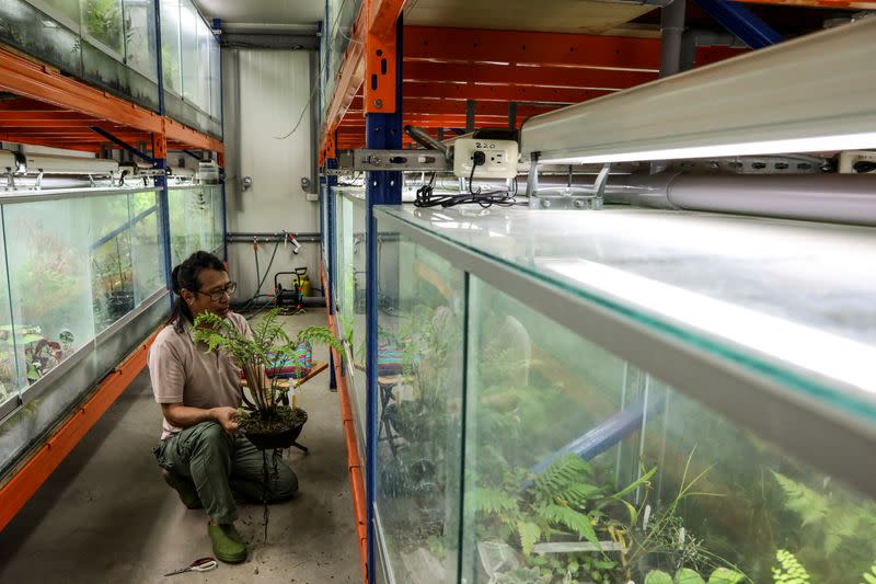 The Wider Image: Taiwan plant hunters race to collect rare species before they are gone