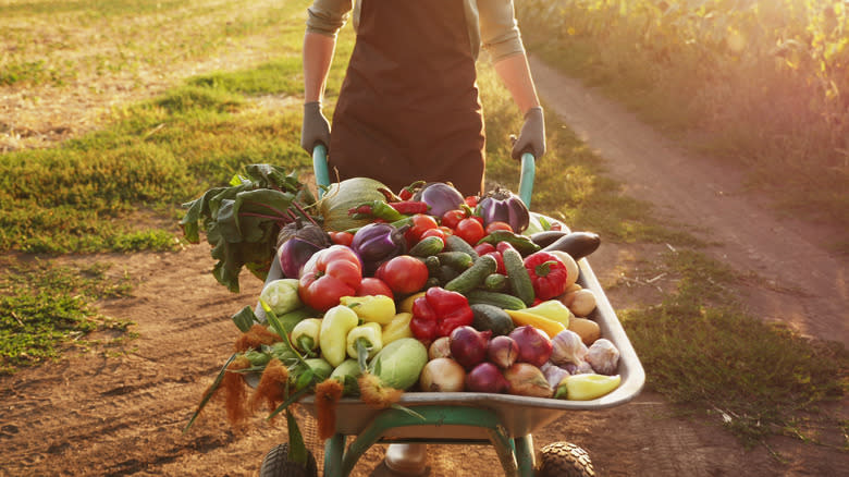 Farmer with produce