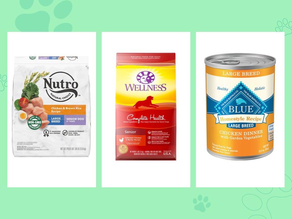 Two bags of large breed dry food from Nutro and Wellness and a can of Blue Buffalo large dog food are on a green background.