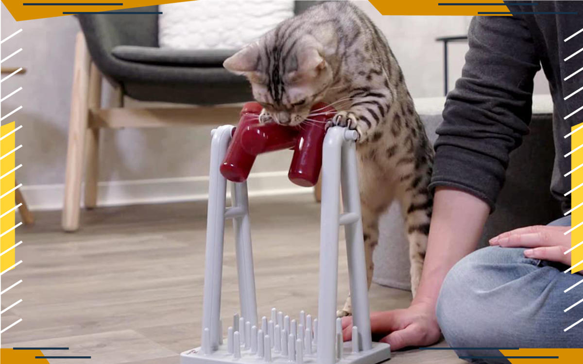 PetSafe SlimCat Meal-Dispensing Cat Toy, Great for Food or Treats