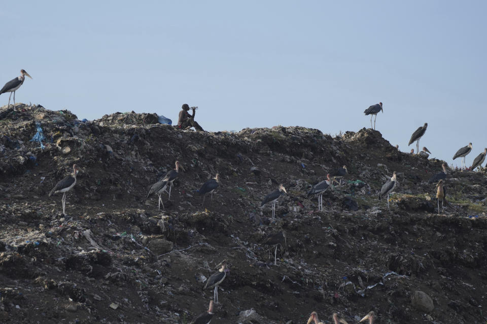 A man who scavenges recyclable materials for a living, centre, drinks water past Marabou storks feeding on a mountain of garage at Dandora, the largest garbage dump in the capital Nairobi, Kenya Wednesday, March 20, 2024. U.N. agencies have warned that electrical and electronic waste is piling up worldwide while recycling rates continue to remain low and are likely to fall even further. (AP Photo/Brian Inganga)