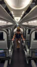 This flight attendant shows off her remarkable acrobatic skills to close the overhead bins with her feet - while wearing high heels. Lindsey O'Brien, 35, gripped onto the armrests before flipping upside down and using her feet to close four luggage containers above. She twirled back down to the aisle and lifted her arms in triumph as her fellow crew members cheered her on. The video was filmed in June aboard an aircraft which had been grounded in her home city of Philadelphia, Pennsylvania, due to Covid-19.