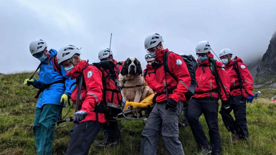 Wasdale Mountain Rescue Team spoke to vets before embarking on their mission to figure out how to best approach the rescue.  Source: Facebook/Wasdale Mountain Rescue Team