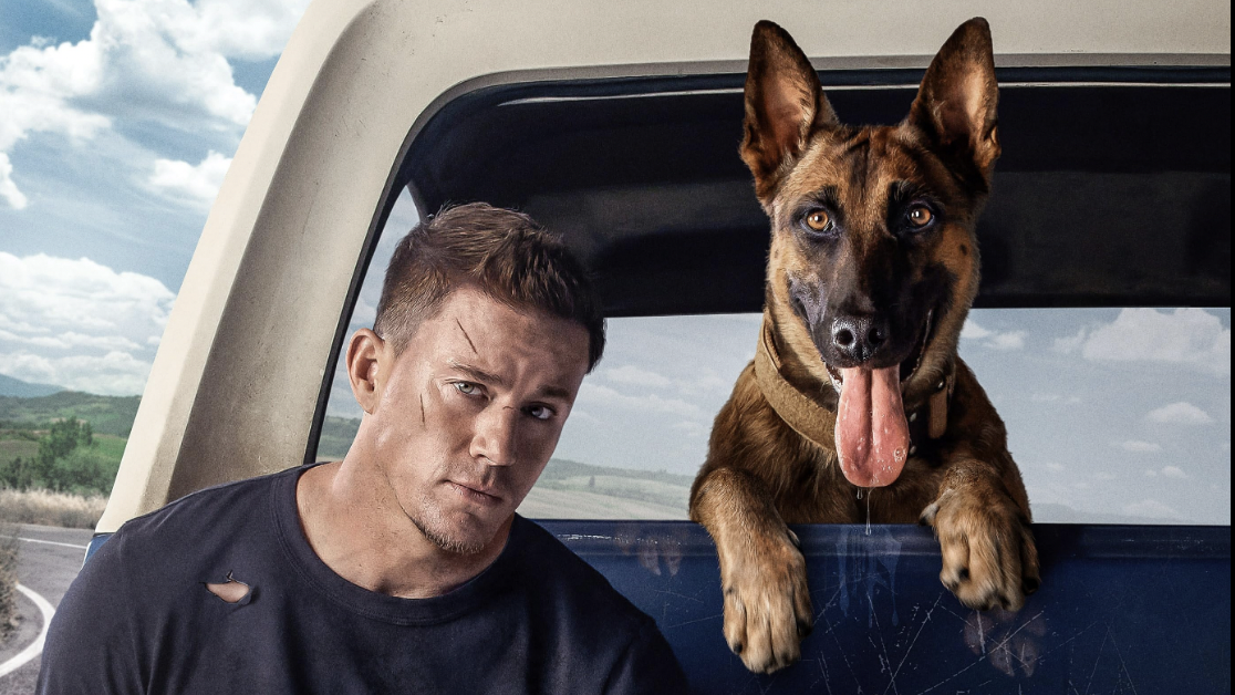 dog movie channing tatum