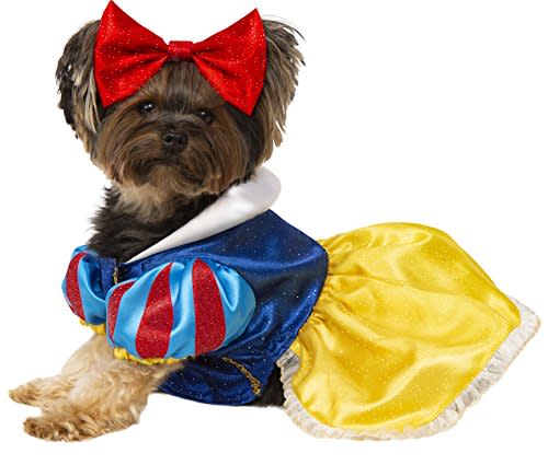 get your paws on these adorable petfriendly halloween costumes