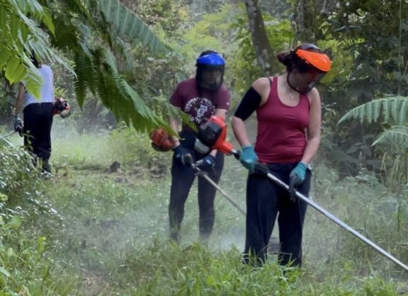 Fordham Global Outreach students clear debris at Panorama Farm in Las Marias, Puerto Rico for a service project.