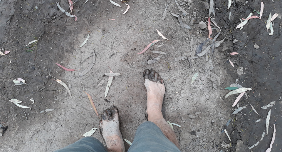 Looking down at Mr Freedman's muddy feet on dry land. 