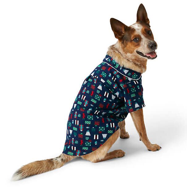 Dog wearing a Dog Flannel Sleep Shirt