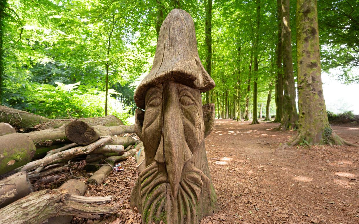 Follow the sculpture trail in Fforest Fawr