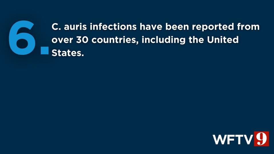 The CDC said Candida auris is a drug-resistant and potentially deadly fungus.